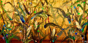 16086C, Autumn corns, 秋粟, 27"x54", 69x137 cm, Acrylic